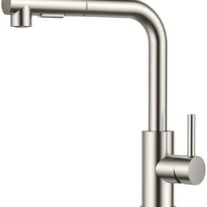 FORIOUS Küchenarmatur Ausziehbar, Edelstahl Wasserhahn mit 360° Schwenkbar, Ideal für moderne Küchen